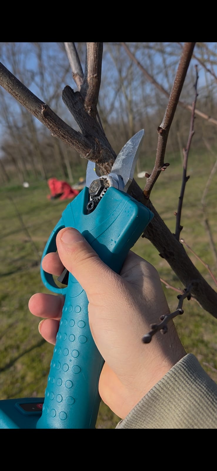 Foarfecă electrică profesională 18V pentru pomi și vie – 30 mm, 2 baterii